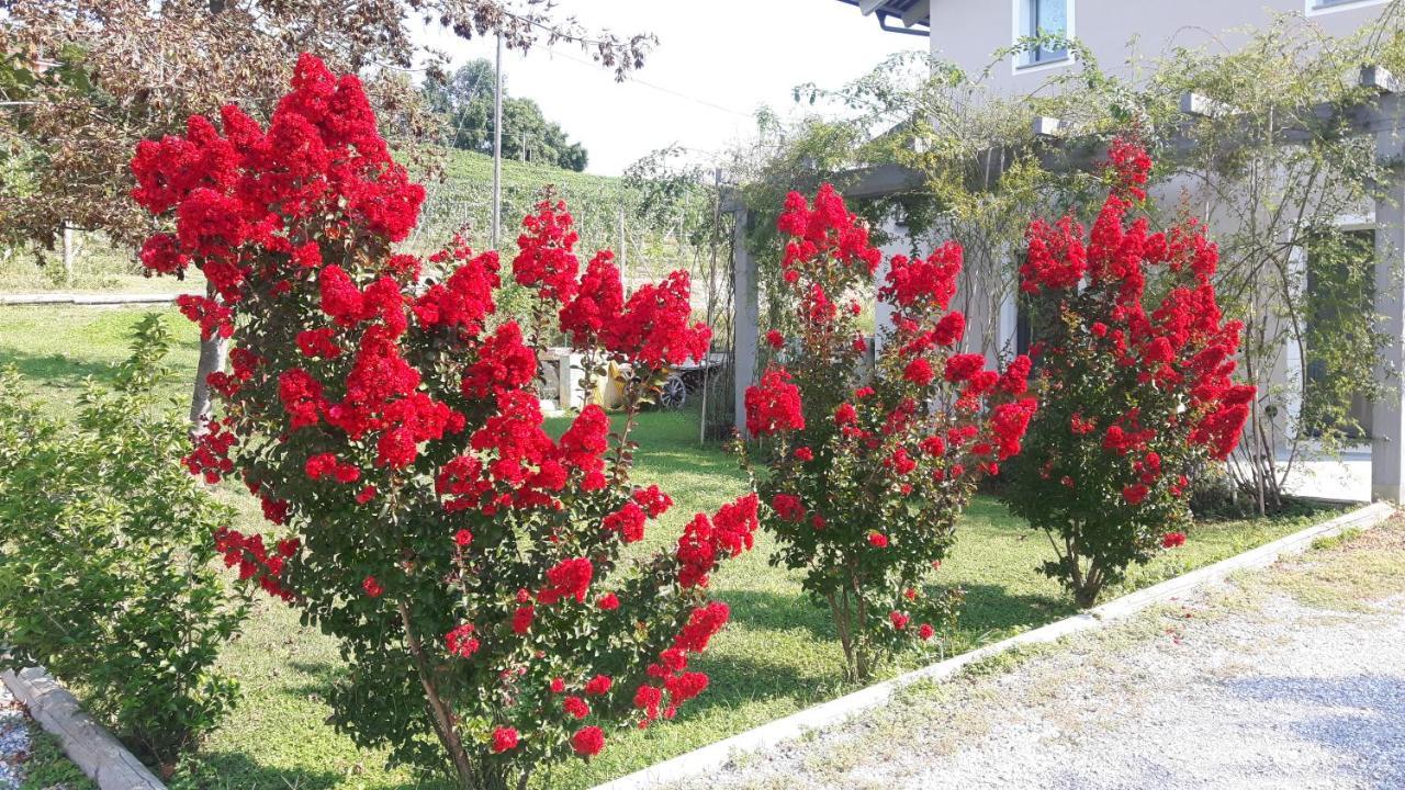 Apartmán Casa Nalin La Morra Exteriér fotografie